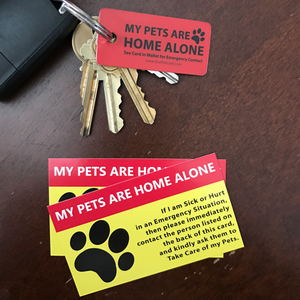 2 Pet Care Cards + 1 Keyring Tag - Our Pet Card